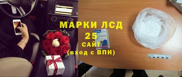 гашик Гусь-Хрустальный