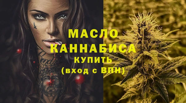 гашик Гусь-Хрустальный