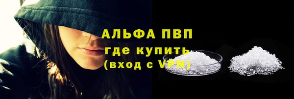 гашик Гусь-Хрустальный