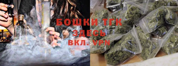 гашик Гусь-Хрустальный
