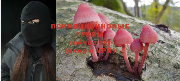 спиды Дмитриев