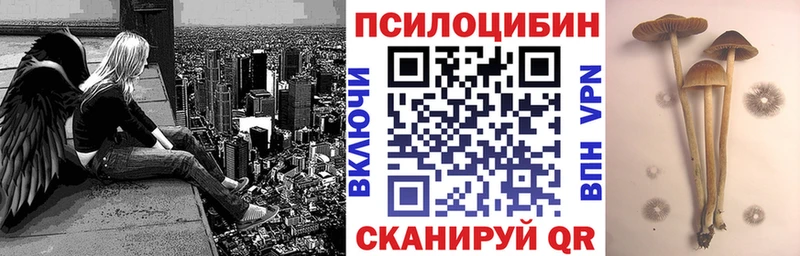 Купить где  Серов  Псилоцибиновые грибы мухоморы 